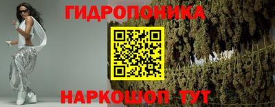 не бодяженный Сланцы
