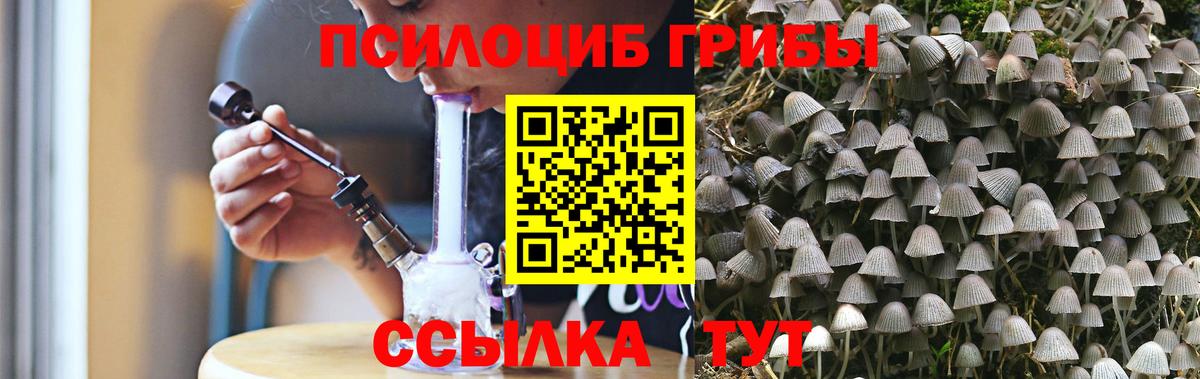 купить наркотики цена  Вход с VPN  Нарткала  Псилоцибиновые грибы Psilocybine cubensis  Псилоцибиновые грибы Psilocybine cubensis 